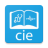 icon cie10(CIE 10 dan 11 (Spanyol)) 4.1-google