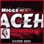 icon higgs domino aceh guide (Advices higgs domino aceh guide
)