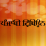 icon Punjabi Tribune Newspaper (Surat kabar Punjabi Tribun)