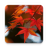 icon Autumn Leaf Fall Wallpaper(Wallpaper Musim Gugur) 1.0.8