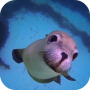 icon Sea Life HD Video Wallpapers Gallery(Sea Life Galeri Wallpaper Video HD)