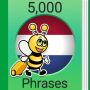 icon Nederlands Fun Easy Learn5 000 Frases(Belajar Bahasa Belanda - 5.000 Frasa
)