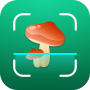 icon Mushroom ID: Fungi Identifier (ID Jamur: Pengidentifikasi Jamur)