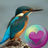 icon Kleurvolle Hummingbirds(Hummingbirds HD Wallpaper) 2.1.14
