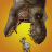 icon Jurassic Survivor 3.75