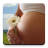 icon ru.fedr.pregnancy(Kalender Kehamilan) 2.4.1