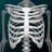 icon Human skeleton Anatomy(Sistem Osseous dalam 3D (Anatomi)) 3.6