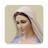 icon com.jasp.rosarioVirgenMaria(Rosary Virgin Mary) 7.6