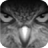 icon EagleEyes(EagleEyes (Lite)) 1.9.1