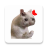 icon Stickers Cats Memes() 2.2.0