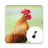 icon Chicken Sounds(Rooster Sounds) 4.1.6