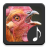 icon Chicken Sounds(Rooster Sounds) 3.1.5