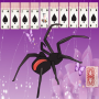icon Spider(Spider Solitaire X)