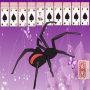 icon Spider Solitaire X