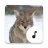 icon Coyote Sounds(Suara Coyote) 4.1.6