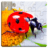 icon se.appfamily.puzzle.insects.free(Serangga Jigsaw Puzzle Game Kids) 25.0