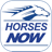 icon Horses Now(Kuda Sekarang) 3.4.6