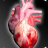 icon Circulatory System in 3D Anatomy(Sistem Peredaran Darah Anatomi 3D Ilustrasi) 1.9.5