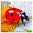 icon Insect Puzzles(Serangga Jigsaw Puzzle Game Kids) 33.0