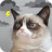 icon Grumpy Weather(Cat Pemarah Cuaca) 5.9.4
