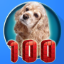 icon 100 Animal sounds & pictures (100 Suara gambar binatang)