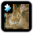 icon Rabbit(Jigsaw Puzzle: Kelinci) 2.0