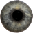 icon Eye Diagnosis(Diagnosis Mata) 1.3.13