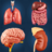 icon My Organs Anatomy(Anatomi Organ Saya) 3.4