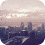icon Rain Video Live Wallpaper