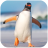 icon Talking Penguin(Berbicara Penguin
) 1.1.0