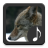 icon Coyote Sounds(Suara Coyote) 3.1.0