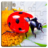 icon Insect Puzzles(Serangga Jigsaw Puzzle Game Kids) 22.0