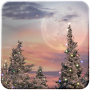 icon Snowfall Free Live Wallpaper (Snowfall Live Wallpaper Gratis)