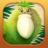 icon Kakapo Run(Kakapo Run: Game Penyelamatan Hewan) 1.0.8