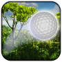 icon Forest Golf