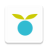 icon 0.9.248