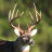 icon Whitetail Deer Calls 5.0.1