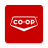 icon 2.6.1