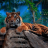 icon The Tiger(Harimau
) 1.1.1
