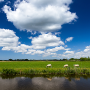 icon Het Weer in Nederland(Cuaca di Belanda: aplikasi)