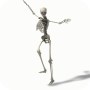 icon Dancing Skeleton Video LWP(Tema Video Kerangka Menari)