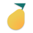 icon Pyrus 4.218.011