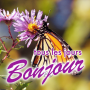 icon Bonjour tous les jours(Selamat Pagi Setiap Hari Salam dalam bahasa Prancis
)