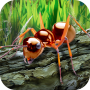 icon Ants Survival Simulatorgo to insect world!(Semut Kelangsungan Hidup Simulator - pergi ke dunia serangga!)