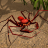 icon Life of Phrynus(Kehidupan Phrynus - Whip Spider) 1.1