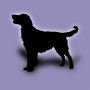 icon Dog(Dog Breeds)