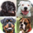 icon Dogs Quiz(Dogs Quiz - Tebak Ras Anjing Populer di Foto
) 3.3.0