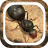 icon The Ants Underground Kingdom Beginner Guide(The Ants Underground Kingdom Panduan Pemula
) 1.0.0