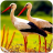 icon The White Stork(Bangau Putih
) 1.1.1