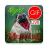 icon GIF Afrikaans Morning & Night(Afrikaans Pagi Malam Gifs
) 2.12.05